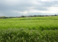 Terreno Courtenay